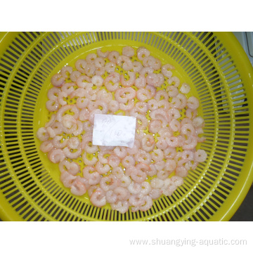 Frozen Peeled Deveined Red Pud Shrimp Sizes 50/70